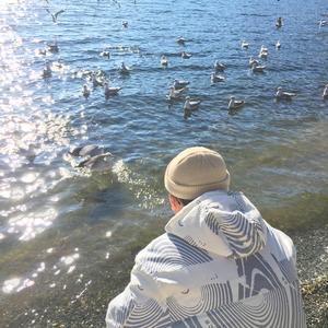 古东真理子全部作品顺序
