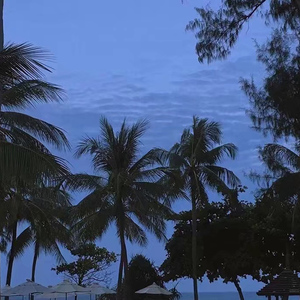 古东真理子全部作品顺序
